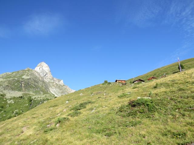 bei Punkt 2082 M.ü.M. folgen wir eine lange Querung, und verlassen danach den Wald