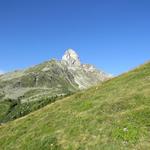 mit Blick auf das Meidhoru kürzen wir einen Fahrweg ab 2267 m.ü.M., und erreichen über einen Pfad kurz darauf...