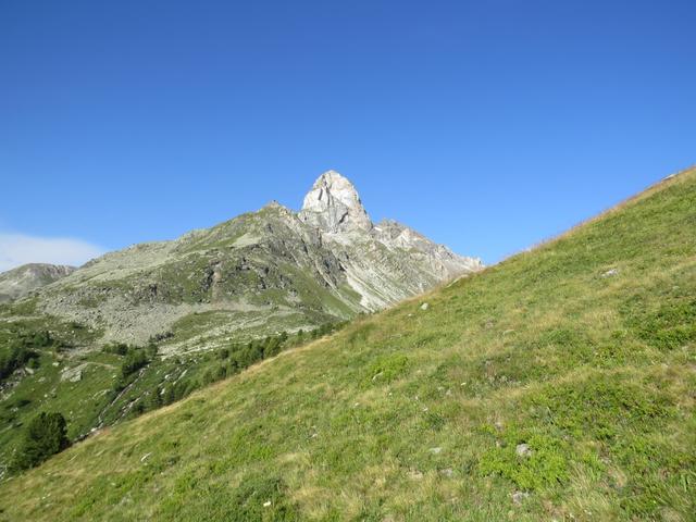 mit Blick auf das Meidhoru kürzen wir einen Fahrweg ab 2267 m.ü.M., und erreichen über einen Pfad kurz darauf...