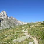 in fast schon gemütlicher Steigung geht es nun über sanfte Matten in das hintere Meidtälli