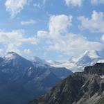 was für ein Anblick! Barrhorn, Schöllihorn, Brunegghorn, Weisshorn und Bishorn mit Turtmann- und Brunegg Gletscher