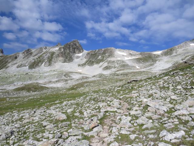 der immer gut ersichtliche und markierte Wanderweg führt uns nun auf direktem Weg Richtung Meidpass