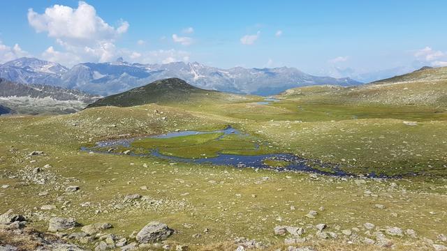 ...südwestwärts ins Alpgebiet von Toûno 2431 m.ü.M.