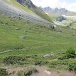 ...die mit Felsbrocken jeglicher Grösse, gespickte Weiden von Chalet Blanc - du Toûno...