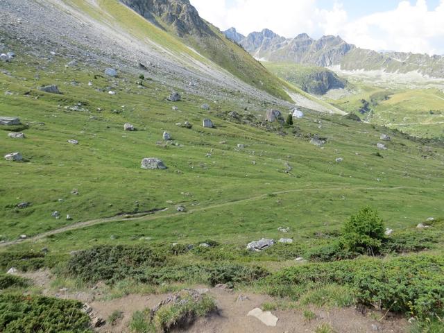 ...die mit Felsbrocken jeglicher Grösse, gespickte Weiden von Chalet Blanc - du Toûno...