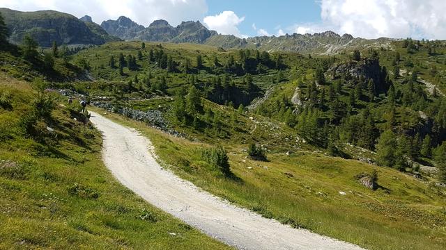 über eine Alpstrasse mit leuchtend weissem Kies, laufen wir nun Richtung Hotel Weisshorn