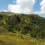 das Hotel Weisshorn befindet sich rechterhand auf dieser kleinen Anhöhe