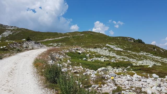 alles auf dieser breiten Alpstrasse bleibend, gewinnen wir wieder an Höhe...