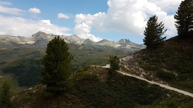 bei der Weggabelung 2341 m.ü.M. wählen wir für den Rückweg diesmal den Wanderweg