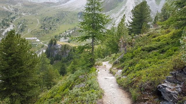 der schöne Wanderweg führt uns über Punkt 2211 m.ü.M., zurück zum grossen Stall bei Le Chiesso - Combavert 2198 m.ü.M.