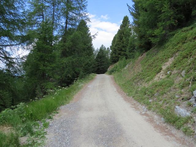 von Chiesso geht es nun weiter nach Tignousa. Bei der Weggabelung 2169 m.ü.M. wählen wir die obere breite Alpstrasse...