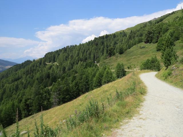 auf der breiten Fahrstrasse bleibend laufen wir weiter, und geniessen gleichzeitig die prächtige Aussicht aufs Val d’Annivier