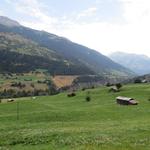 unvermittelt öffnet sich die Sicht auf das Becken von Fiesch und die Terrasse von Ernen