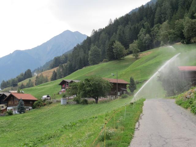 der Wanderweg führt uns nun über Wiesen und Weiden nach Viertel 1087 m.ü.M.