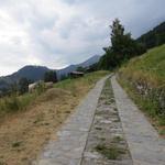 gemütlich wandern wir auf einem breiten, sanft ansteigenden Natursträsschen