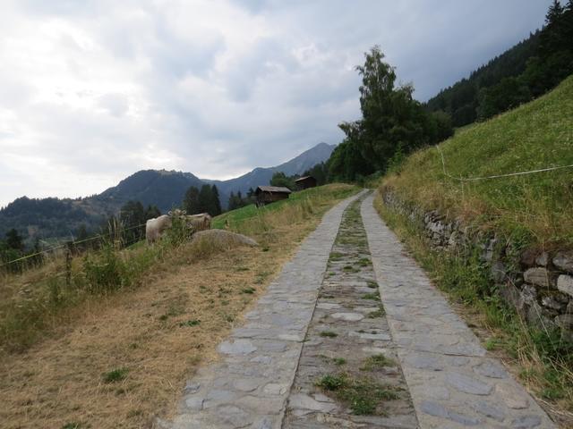 gemütlich wandern wir auf einem breiten, sanft ansteigenden Natursträsschen