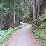 hier bei der Kapelle biegt der Graben der Binna jäh nach Süden zur Twingischlucht ab