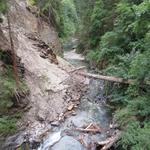 in der tiefen und schattigen Twingischlucht, liegen noch im Sommer Lawinenkegel