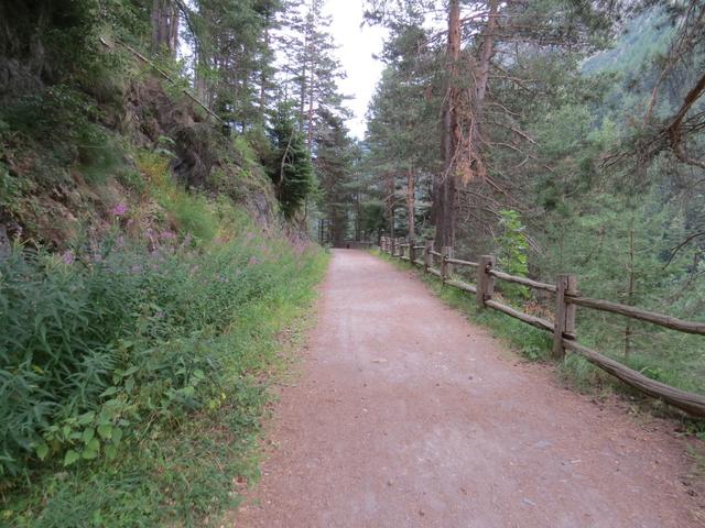 ...und wir können unsere Wanderung auf der alten, teilweise bereits wieder mit Grün überwachsenen Strasse fortsetzen