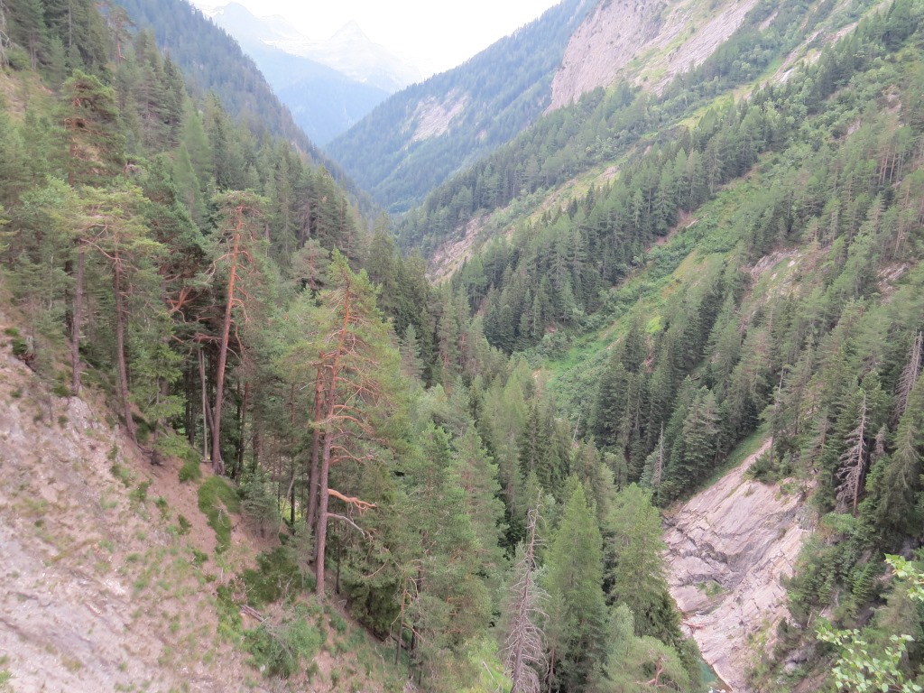 ...und bietet einen spektakulären Tiefblick in die wildromantische Twingischlucht