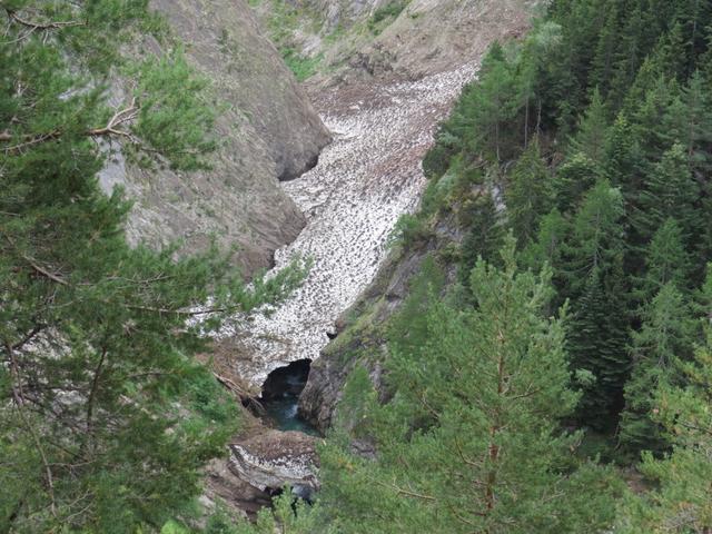 ...ist von recht wilder und eigenartiger Schönheit