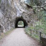 immer wieder durchqueren wir Tunnels. Taschenlampen werden nicht benötigt