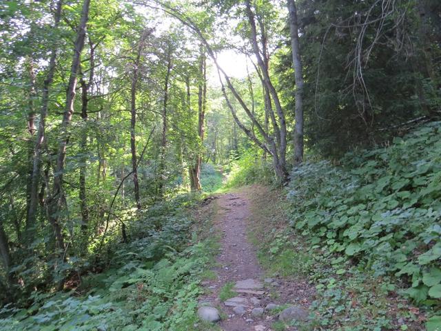 wir bleiben der Binna treu und schlagen den Weg ein, der uns durch einen Wald führt