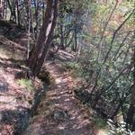 der jetzt noch einfache Wanderweg führt uns nun hinein in das Baltschiedertal