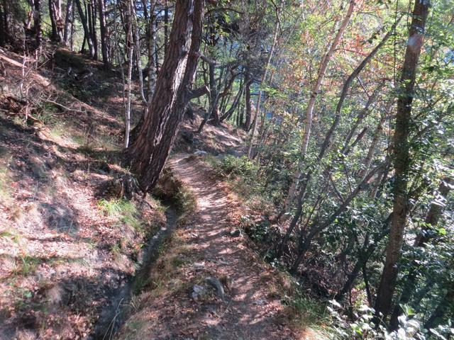 der jetzt noch einfache Wanderweg führt uns nun hinein in das Baltschiedertal