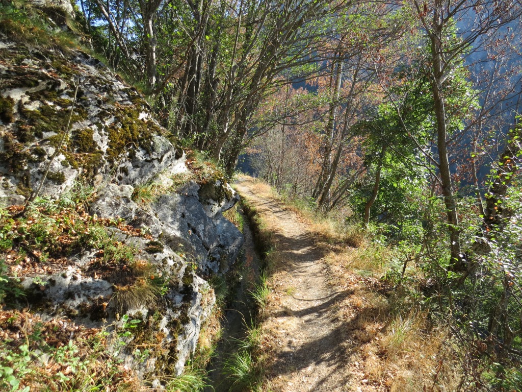 bald ist unser erstes Etappenziel die Niwärch Suone erreicht. Mit 14km Länge ist sie die längste noch betriebene Suone der S�