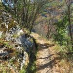 bald ist unser erstes Etappenziel die Niwärch Suone erreicht. Mit 14km Länge ist sie die längste noch betriebene Suone der S�