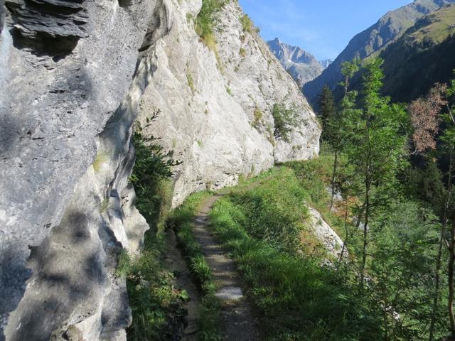 bei Holz erreichen wir die bewachsene Steilflanke