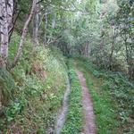 wir erreichen Punkt 1291 m.ü.M. Unter uns (vom Wanderweg aus nicht ersichtlich), befindet sich der Stollenausgang