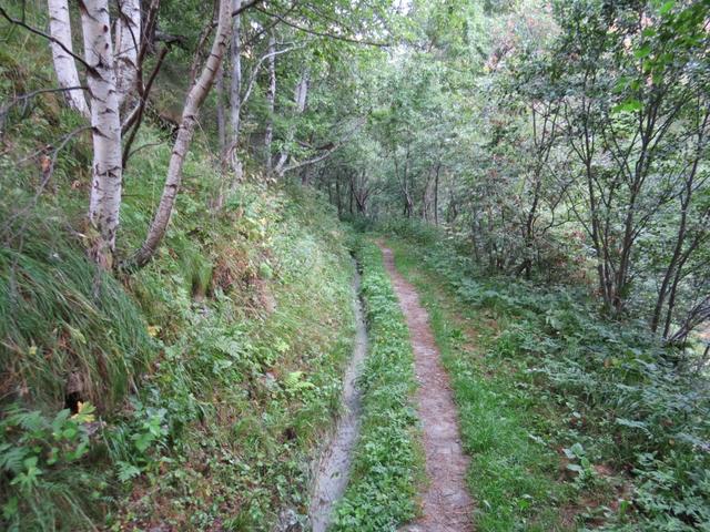 wir erreichen Punkt 1291 m.ü.M. Unter uns (vom Wanderweg aus nicht ersichtlich), befindet sich der Stollenausgang