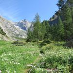 wir erreichen den idyllischen Rastplatz von Inner Senntum 1476 m.ü.M...