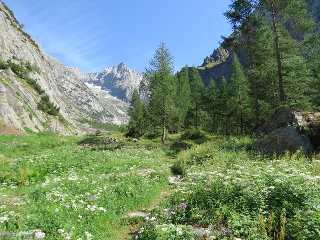 wir erreichen den idyllischen Rastplatz von Inner Senntum 1476 m.ü.M...