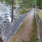 hier quert der Wanderweg über eine Hängebrücke den schäumenden Baltschiederbach