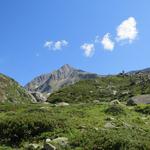 am Horizont erhebt sich der Strahlhorn