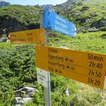 Wegweiser bei Martischipfa. Hier biegt rechts die weiss-blau-weisse Bergweg-Variante zur Hütte ab