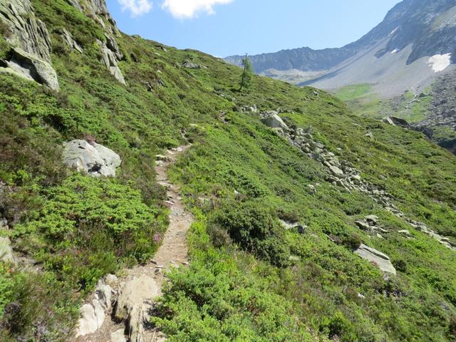 der Bergweg ist immer gut ersichtlich...