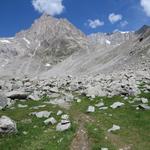 die Szenerie erinnert an Bilder aus dem Himalaya oder Alaska