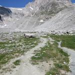 wir durchqueren die wilde Mäanderlandschaft 2275 m.ü.M. des jungen Baltschiederbach