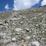 karge Landschaft, der x-fach verzweigte Bach, die steilen Felswände und darüber die hohen Schneegipfeln...