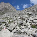 der Wanderweg wird nun definitiv alpiner. Vorher dominierten Alpen im satten grün. Ab jetzt Stein, Fels und Eis
