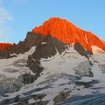 die aufgehende Sonne färbt das Bietschhorn in ein traumhaftes rot