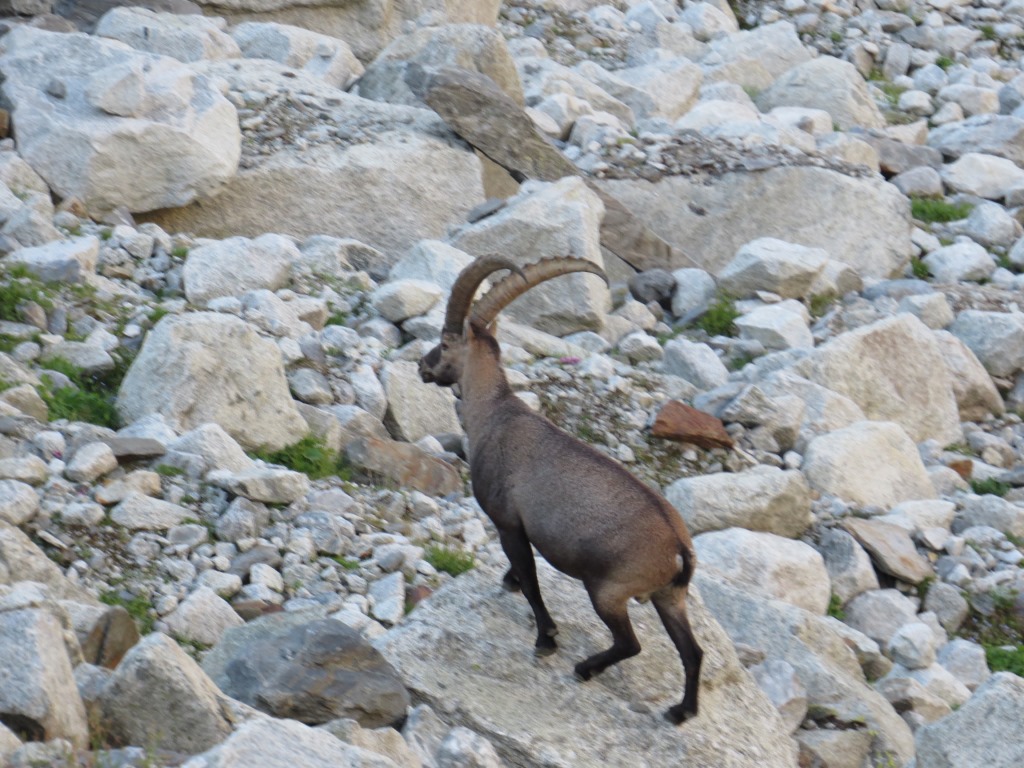 ..und ältere sind gut ersichtlich