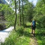 ...führt uns zum unteren parallel verlaufenden Wanderweg...