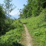 wir wandern weiter talauswärts. Über unsere Köpfe führt parallel der Wanderweg zur Niwärch Suone