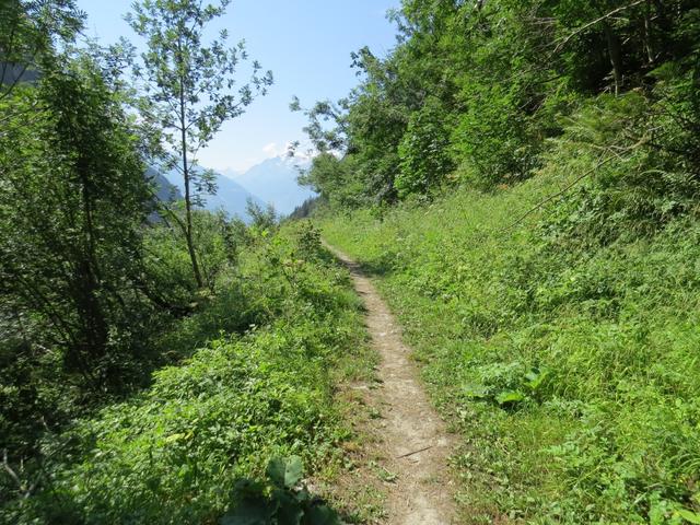 wir wandern weiter talauswärts. Über unsere Köpfe führt parallel der Wanderweg zur Niwärch Suone