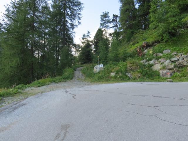 vom Dorfzentrum in Arolla folgen wir die Fahrstrasse taleinwärts, um kurz danach die Strasse zu verlassen